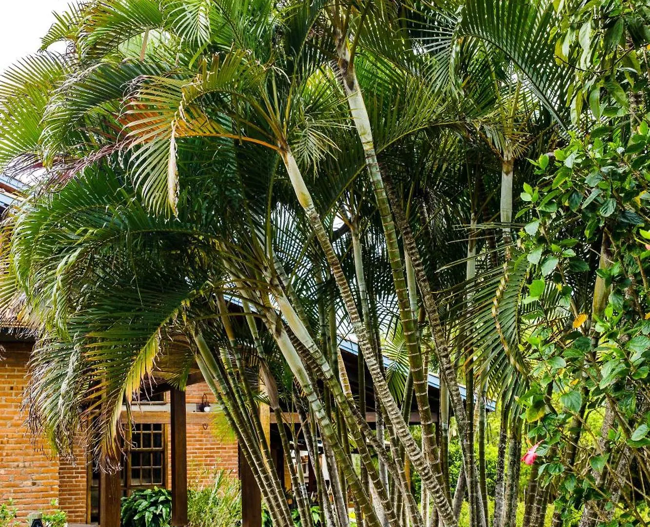 Hotel Pousada Da Lagoa Garopaba Brazil